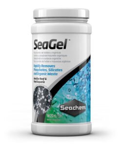 seagel.jpg
