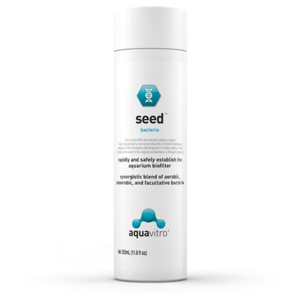 seed